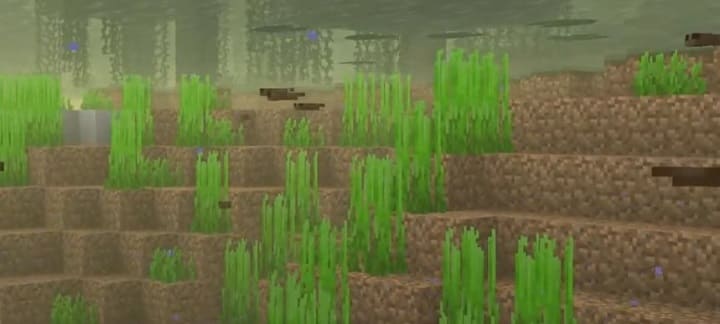 Renacuajos en Minecraft PE (Bedrock) 1.19