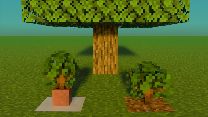 Better Saplings & Mushrooms screenshot 2
