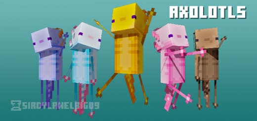 Skins: Axolotl [1.17+]