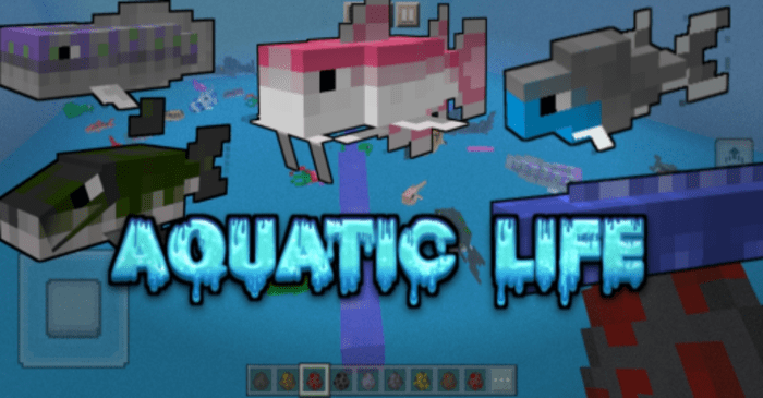 Aquatic Life para Minecraft PE (Bedrock) 1.20 1.21