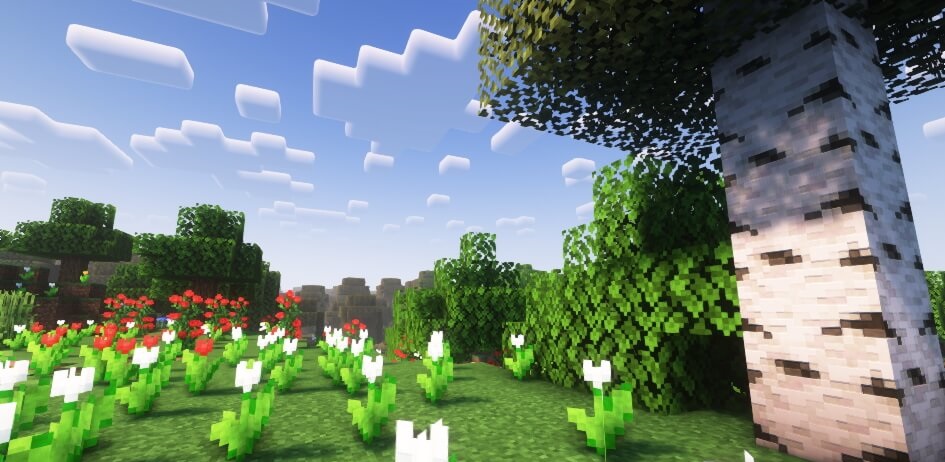 Complementary Reimagined screenshot 2