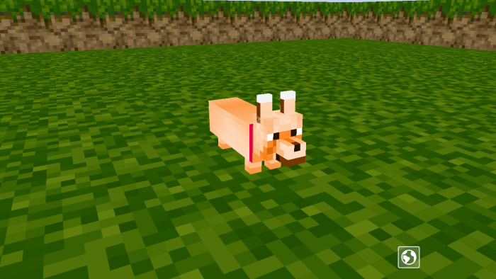 Corgi для Minecraft Pocket Edition 1.20