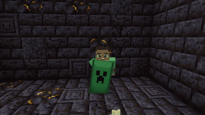 Custom Shields screenshot 3