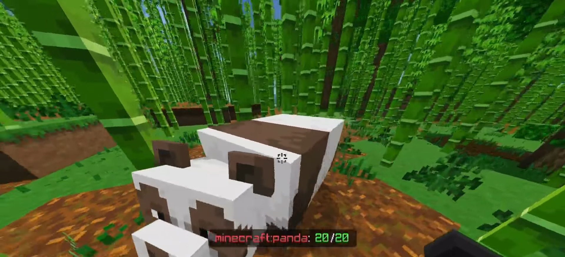 Edds’ Health Display screenshot 2