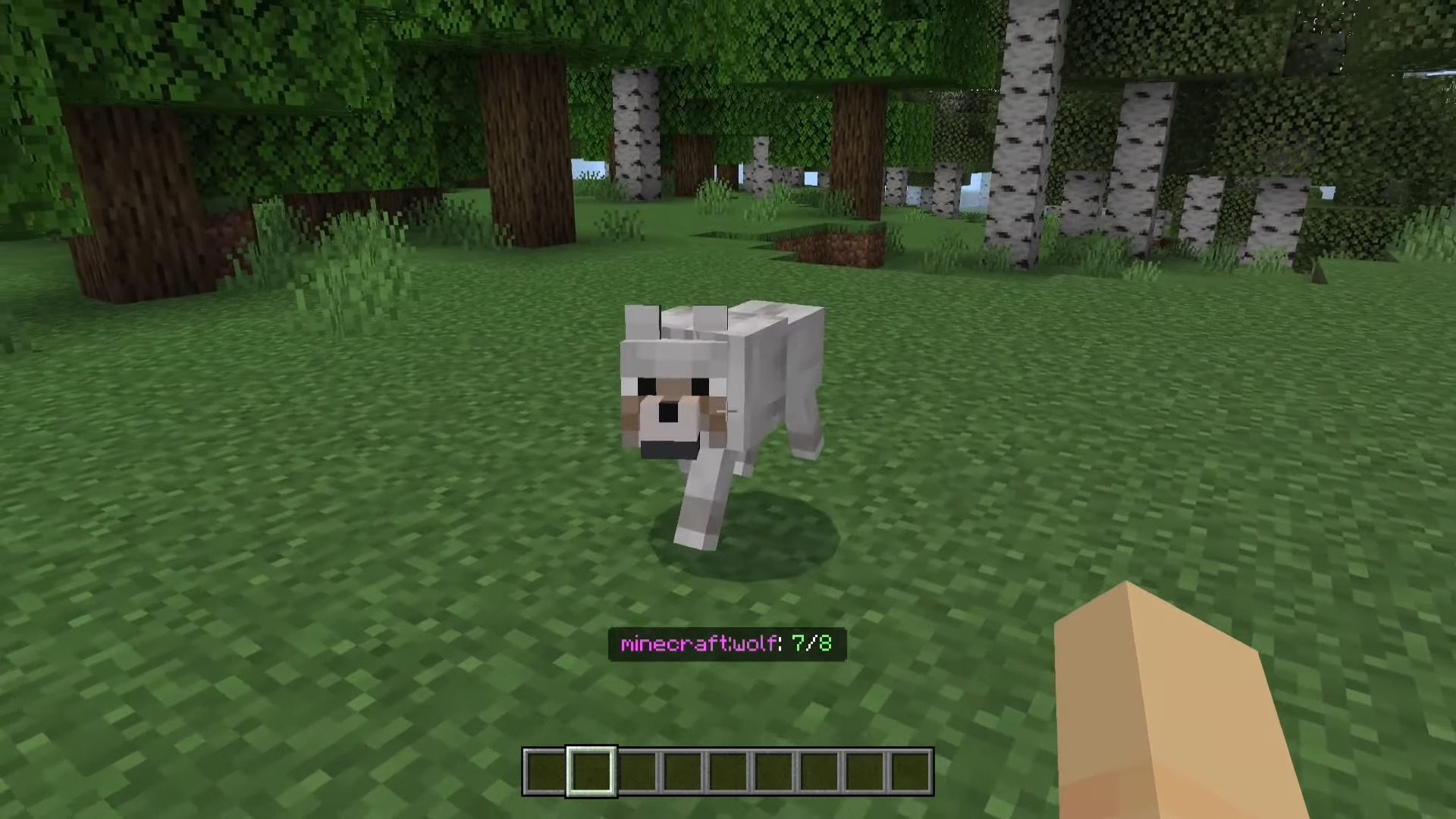 Edds’ Health Display screenshot 3