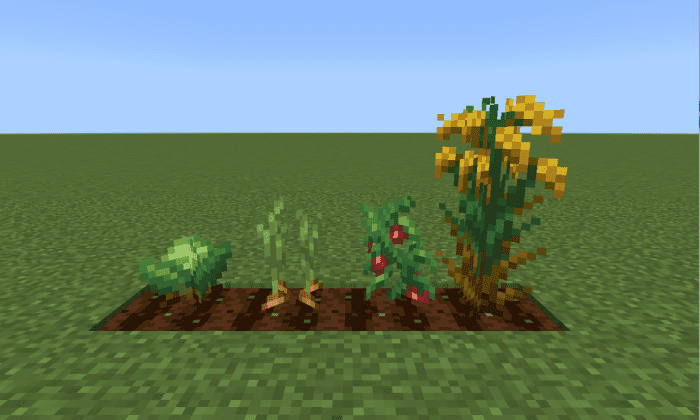 Farmer’s Delight screenshot 3