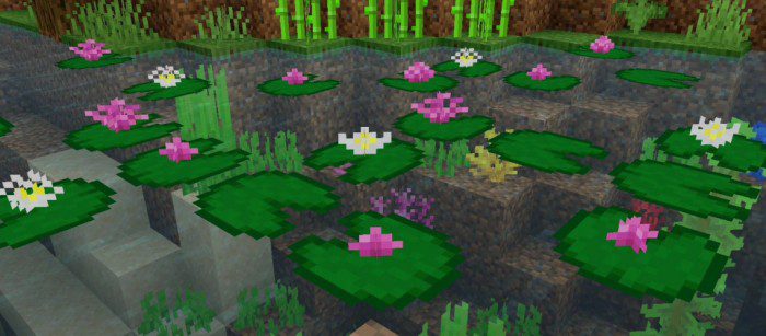 Lily Pads Plus screenshot 3