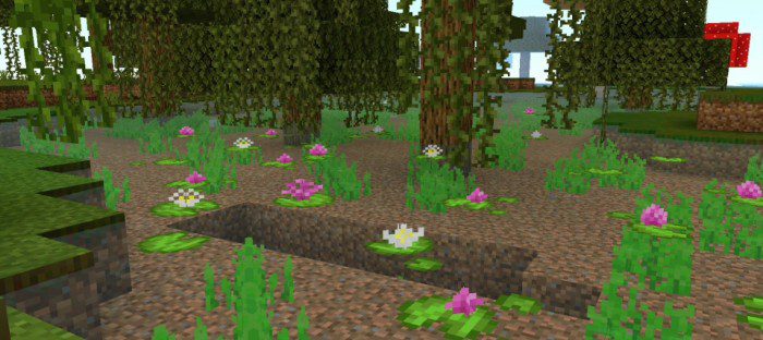 Lily Pads Plus screenshot 2