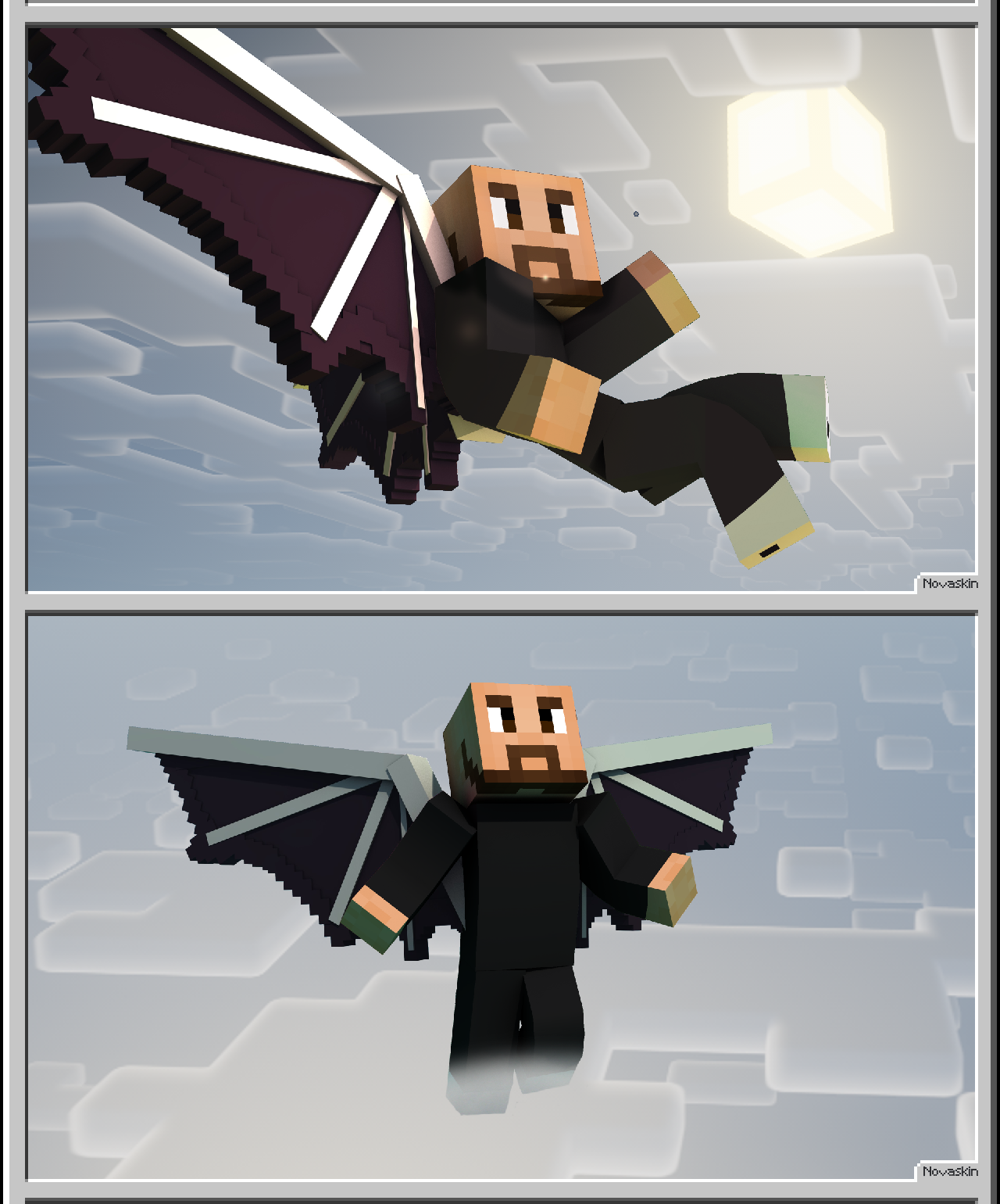 Tax Dragon Elytra screenshot 3