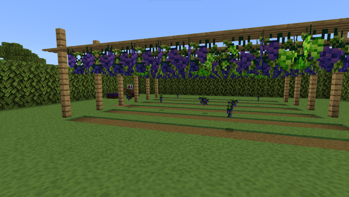 Niels Culinary screenshot 3