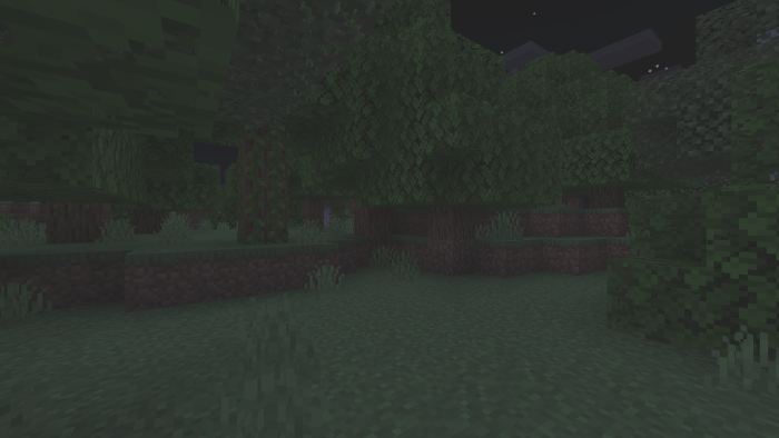 Night Vision screenshot 2