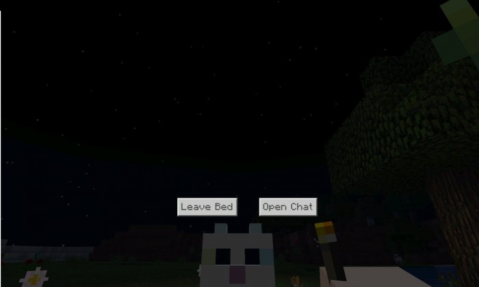 One Player Sleep screenshot 3