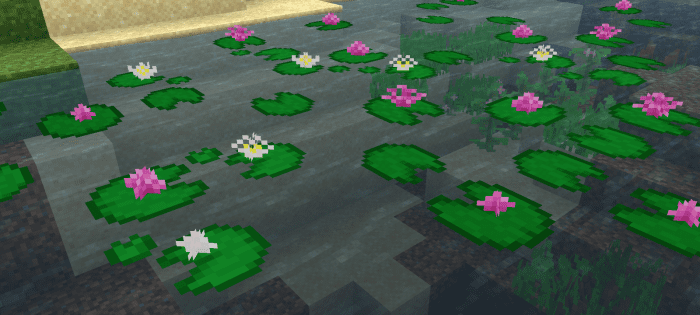 Rivers Plus+ screenshot 3