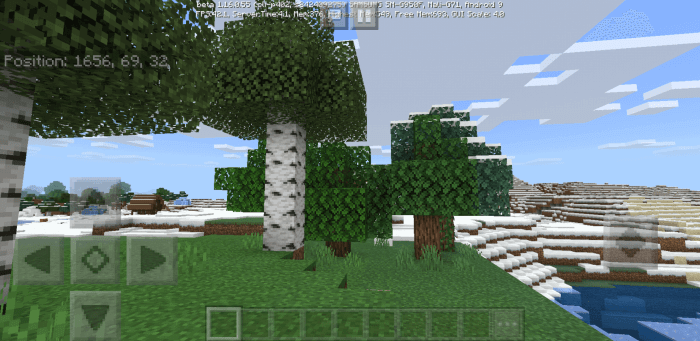 842409275 Снежная деревня у спавна screenshot 2