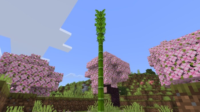 The Wild Environment screenshot 3