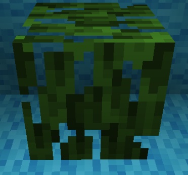 minecraft 1.19 screenshot 15