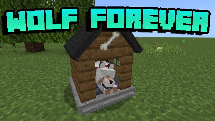 Wolf Forever para Minecraft PE (Bedrock) 1.20