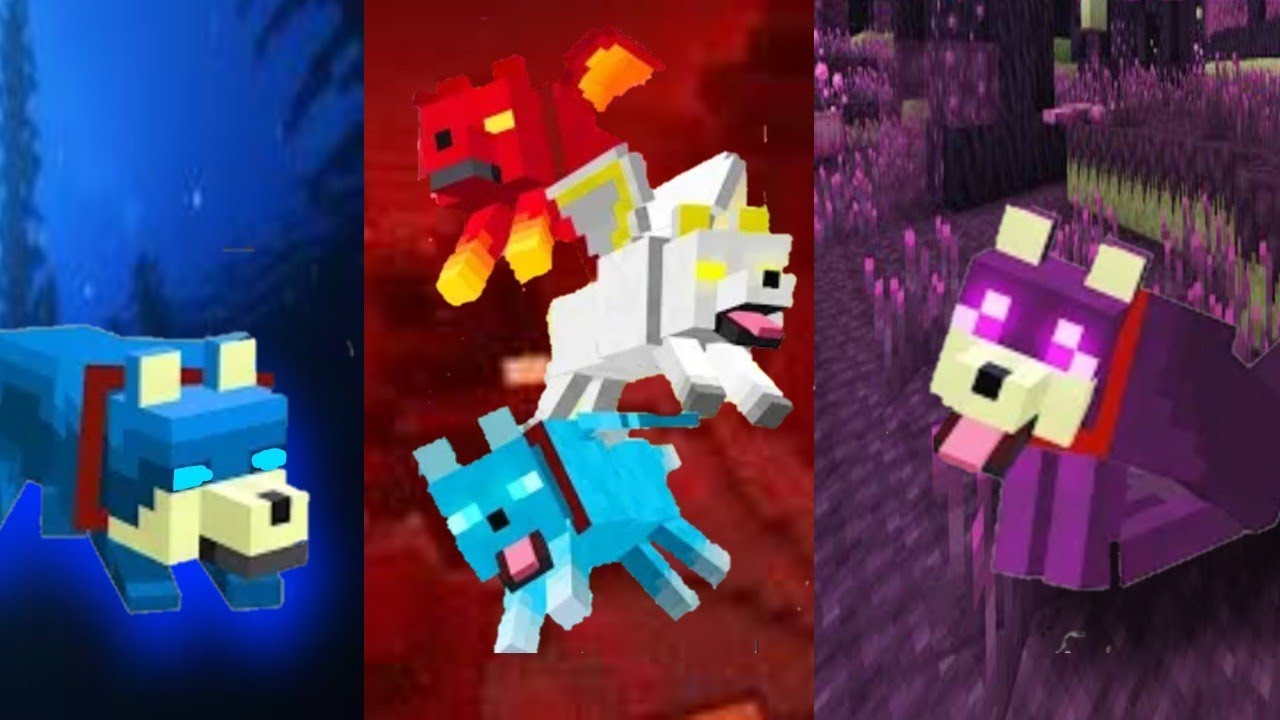 Wolves Plus para Minecraft PE / Bedrock 1.21